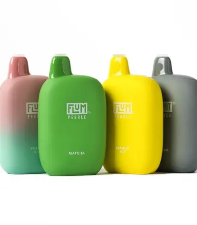 Float Pebble by Flum 6000 Puffs 5% Nicotine