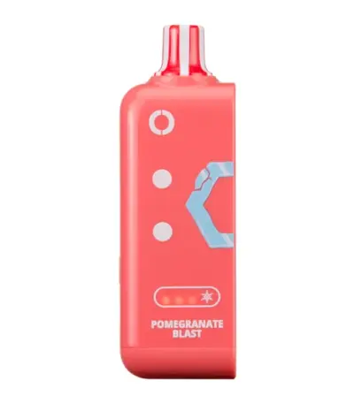 Pomegranate Blast Ice Off Stamp Ice Cube