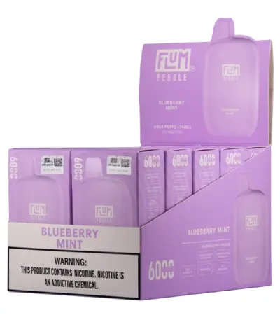 Blueberry Mint FLUM Pebble