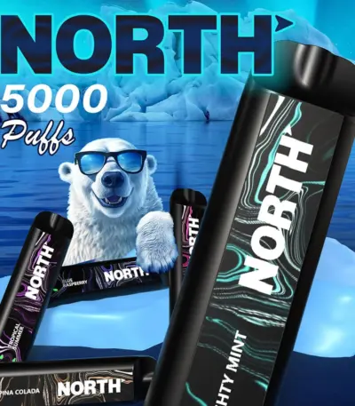 North 5000 Disposable Vape