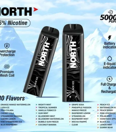 North 5000 Disposable Vape