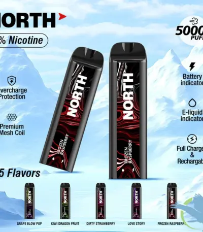 North 5000 Disposable New August 2025