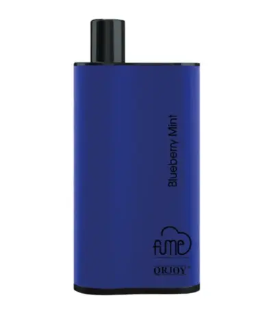 Blueberry Mint Fume Infinity