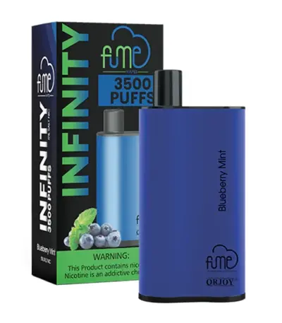 Blueberry Mint Fume Infinity